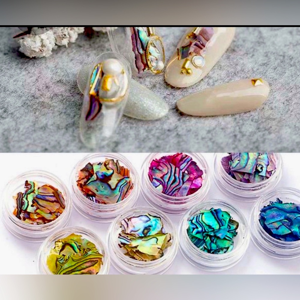 Sea sell abulon collection